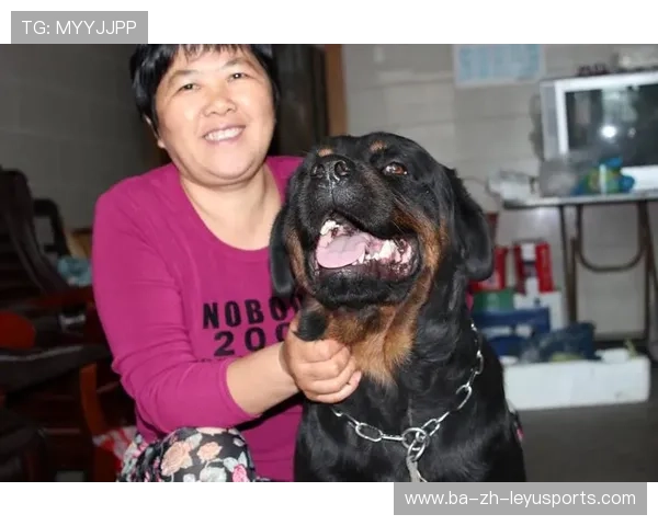 社区项目推动俱乐部社会影响力扩展